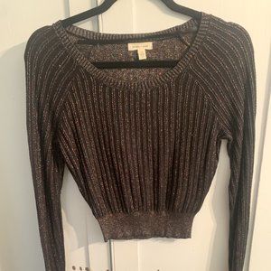 Silence + Noise Fitted Shimmer Sweater